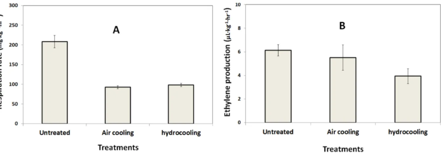 Fig. 3. Changes in fresh weight loss rate of asparagus spears packaged with oxygen transmission rate (OTR) film for  modi-fied atmosphere packaging (MAP) and perforated film for  con-ventional packaging during the storage