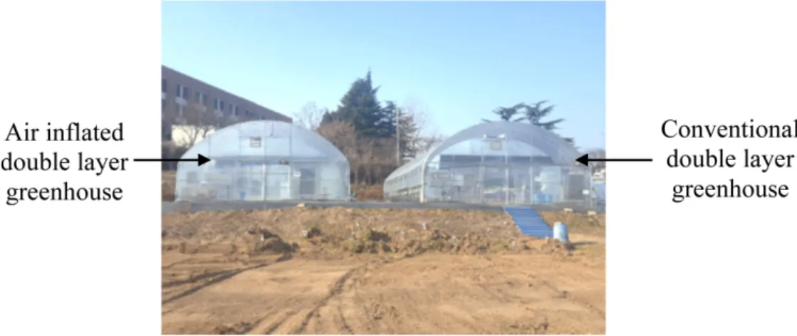 Fig. 2. Inside the greenhouses.