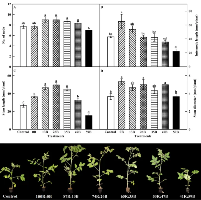 Fig. 2. Number of node (A), internode length (B), stem length (C), stem diameter (D) of cherry tomato seedlings grown under various combined ratios of red to blue LEDs and a picture of cherry tomato seedlings at 27 days of LED treatment (E) (p < 0.05).