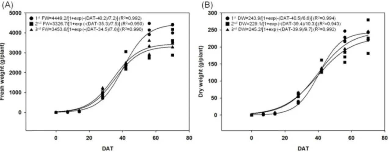 Fig. 2. Changes in fresh weight (A) and dry weight (B) of Kimchi cabbage as affected by different transplanting dates (1 st , April 15; 2 nd , April 29; 3 rd , May 13) during the spring growing season.