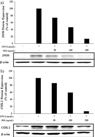 Fig. 5. Inhibitory effects of  Rubus coreanus extract on production of pro-inflammatory cytokines in RAW 264.7 cells