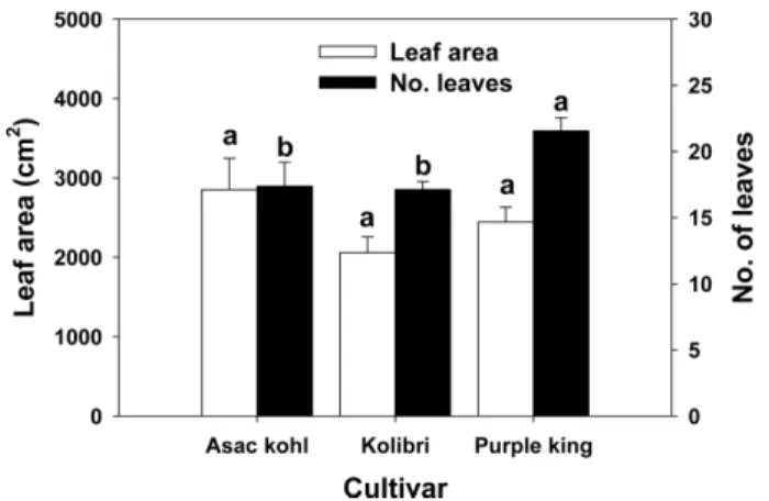 Fig. 2. Changes of tuber diameter of three kohlrabi cultivars. Ver- Ver-tical bars represent the standard error of the mean (n=6).