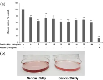 Fig. 2. Effect of gamma-irradiated sericin protein on cell viability in Melan-a cells