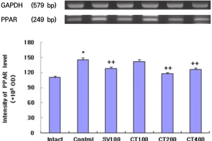 Table  Ⅴ. Changes on the PAF and TXB2 Contents after ChondroT Treatment  in  Hyperlipidemia  Rats  Induced  HFD