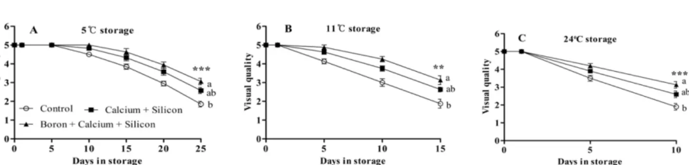Table 1. Firmness, color and lycopene of cherry tomato which treated by boron (B), calcium (Ca) and silicon (Si) with MAP (20,000 cc OTR packaging film at 5 o C and 11 o C, and 40,000 cc OTR packaging film at 24 o C).