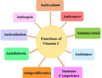 Fig. 2. Biological function of vitamin C.