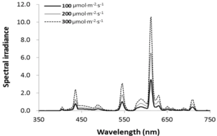 Table 1. Nutrient solution formulations applied to the green leaf lettuce ‘Cheongchima’ for 7 days before harvest in the closed-type plant production system with the recirculating ebb and flow hydroponics.