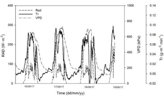 Fig. 3. Estimation of leaf area index (LAI) by using leaf length and leaf width with days after transplanting (DAT) Vertical bars represent the standard error (n=40).