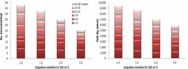 Fig. 5. Distribution of harvested fruit number and yield as affected by EC level of irrigation solution.
