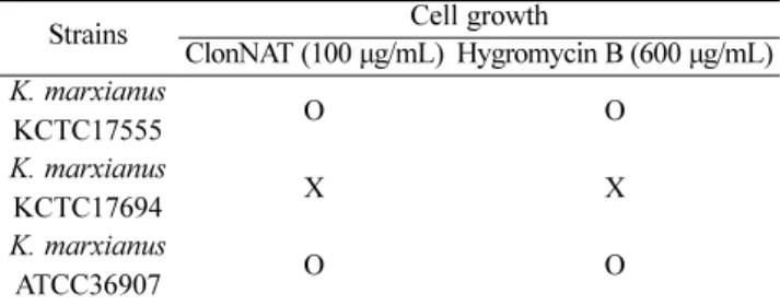 Fig. 1. Alignment of nucleotide sequences of KmPHO13 from K. marxianus 17694-DH1, K. marxianus 17694-DH1ΔKmPHO13-1, K.