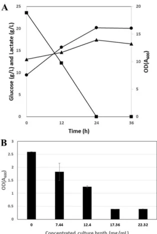Fig. 5. Fermentation results with 100 mL/L of molasses and 80 mL/L of CSL by L. plantarum BG0001 (A) and evaluation of MIC using culture medium by  L