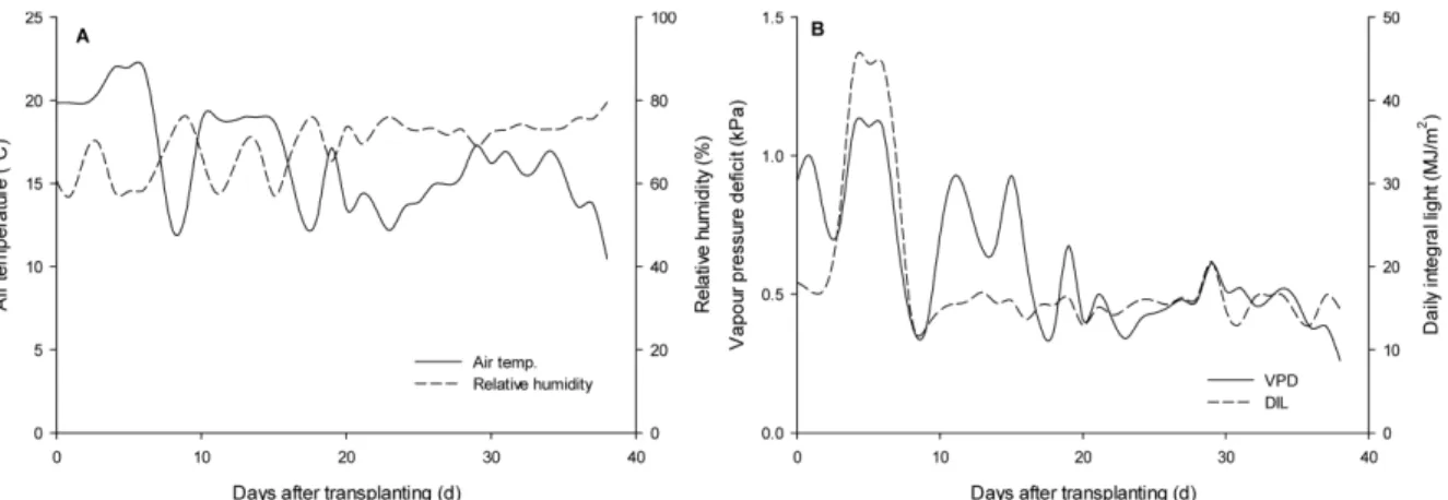 Fig. 2. Changes in soil water content as affected by irrigation amount after transplanting.