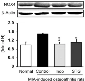 Fig.  5.  The  effects  of  SST  on  the  ONOO −   level  in  MIA-in- MIA-in-duced  osteoarthritis  rats.