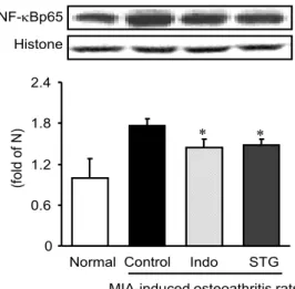 Fig.  10.  The  effects  of  SST  on  the  COX-2  protein  expression  in  MIA-induced  osteoarthritis  rats.