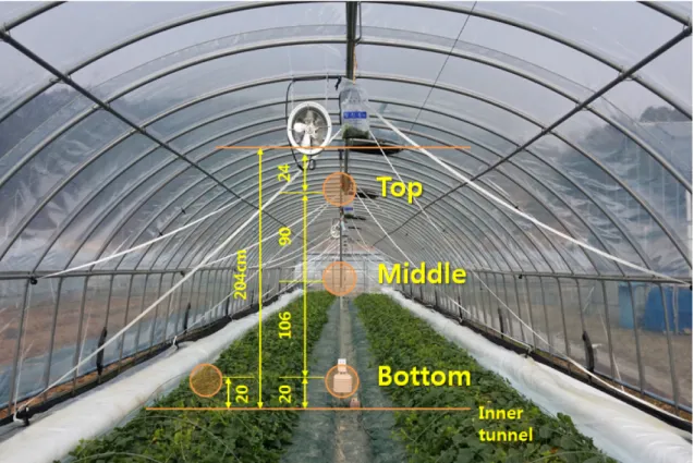 Fig. 1. Schematic diagram of temperature measurement point in greenhouse.