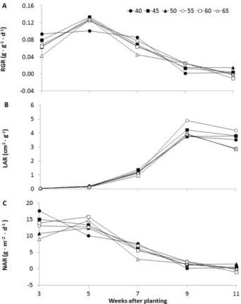 Fig. 3. Change of relative growth rate (RGR, A), Leaf area ratio (LAR, B), and net assimilation rate (NAR, C) of watermelon plant after planting watermelon seedlings affected by different raising seedling period (days)