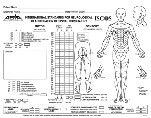 Fig.  2.  International  Standard  for  Neurological  Classification  of  Spinal  Cord  Injury  (ISNCSCI).