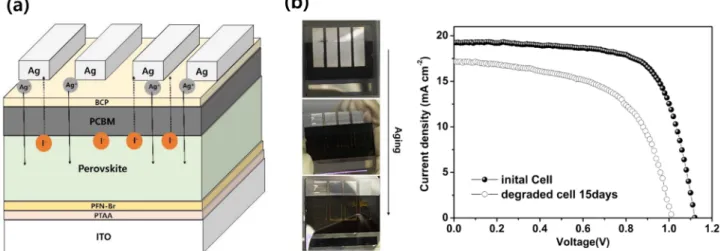 Fig. 1. (a) Diagram of PSCs that shows possible degradation by the diffusion of silver and iodine through PCBM and BCP layers