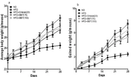 Fig.  1.  Effect  of  BBT  on  (a)  body  weight  and  (b)  gained  weight  in  high  fat  diet-fed  mice