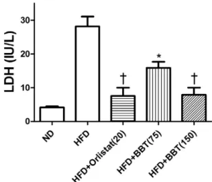 Fig.  8.  Effect  of  BBT  on  serum  LDH  in  high  fat  diet-fed  mice.
