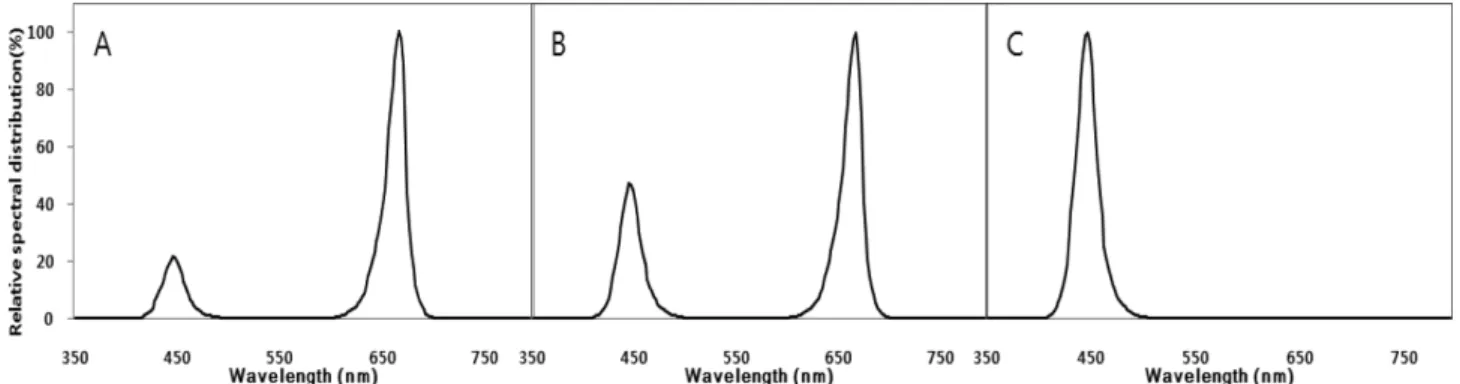 Fig. 1. Relative spectral distribution of RB7(R:B=14:2) LED (A), RB3(R:B=12:4) LED (B), and B(B=16) LED (C) used in this study.