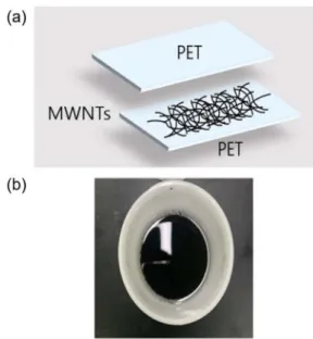 Fig. 1. (a) Schematic of MWNTs coated between PET substrates, (b) MWNTs solution