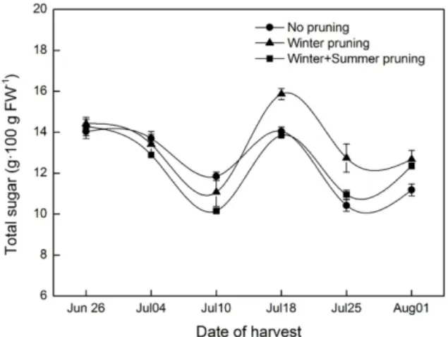 Fig. 4. Changes in total sugar content of southern highbush blue- blue-berry ‘Misty’ over the harvest season by the differential  prun-ing methods