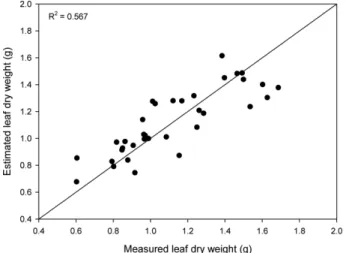 Fig. 5. Comparison of measured and estimated (using Eq. 14) leaf dry weights of Irwin mango (n = 36).