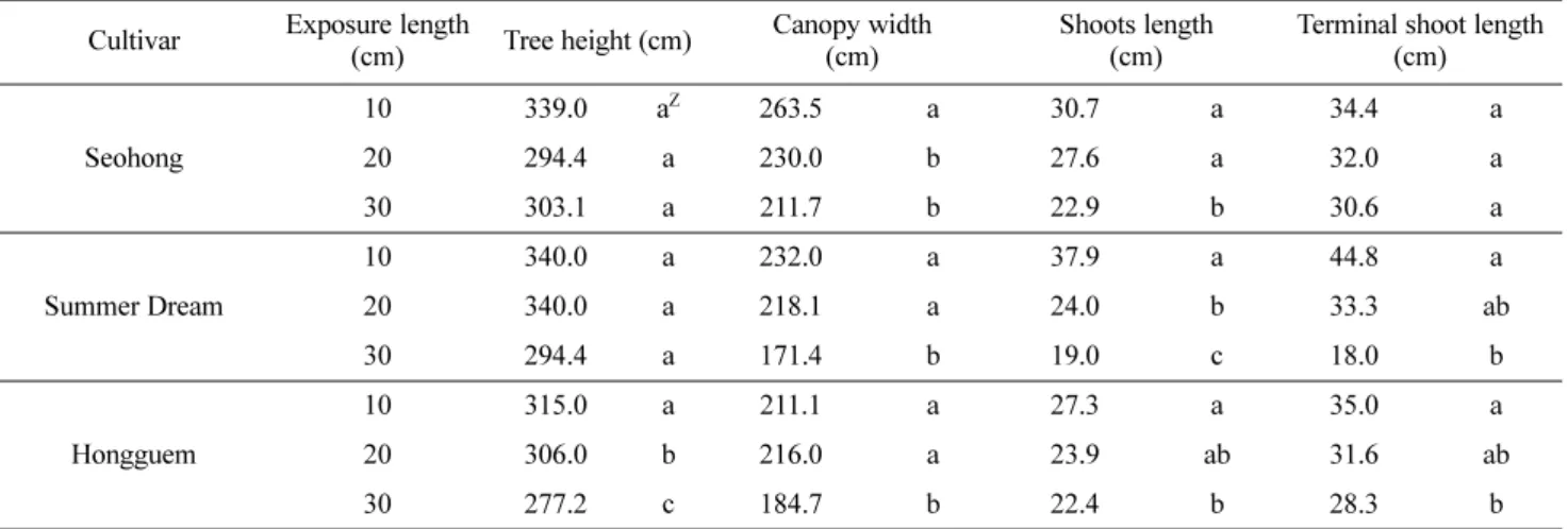 Fig. 1. Change in TCA of ‘Seohong’, ‘Summer Dream’, and