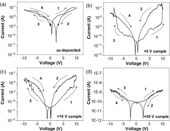 Fig. 4. I-V characteristics of FeO x  films (a) as-deposited, (b) EFAPMOD +5 V, (c) EFAPMOD +10 V, (d) EFAPMOD +20 V samples.