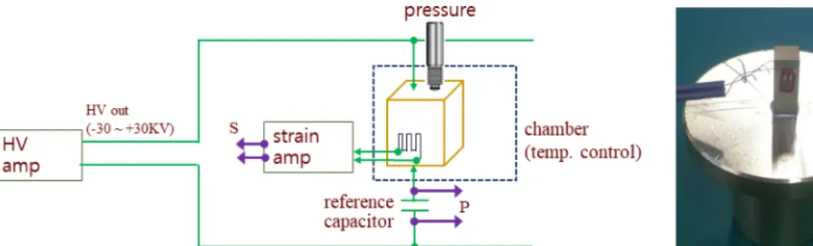 Fig. 1. (a) Polarization and strain measurement system. (b) Sample preparation. 