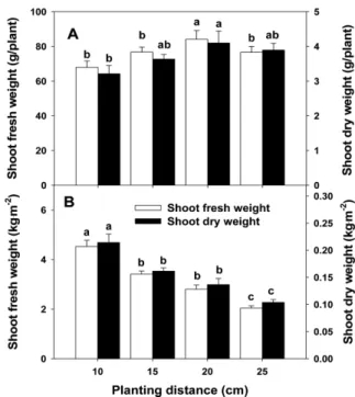 Fig. 5. Shoot fresh and dry weights per plant of common ice plant under 30 days after transplanting different light intensity.