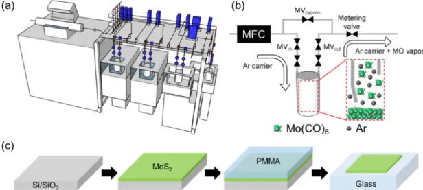 Fig. 1. (a) 3D scheme of MOCVD system. (b) 2D scheme of bubbler and gas lines. (c) Scheme of MoS 2  thin film growth and wet transfer.