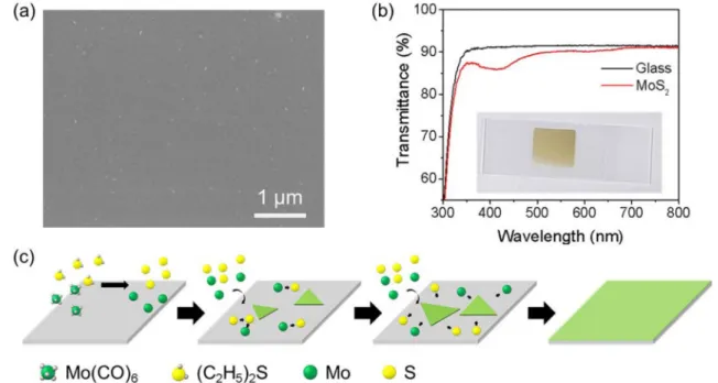 Fig. 2. (a) SEM image of MoS 2  thin film. (b) Transmittance spectra of glass (reference, black) and MoS 2  thin film (red)