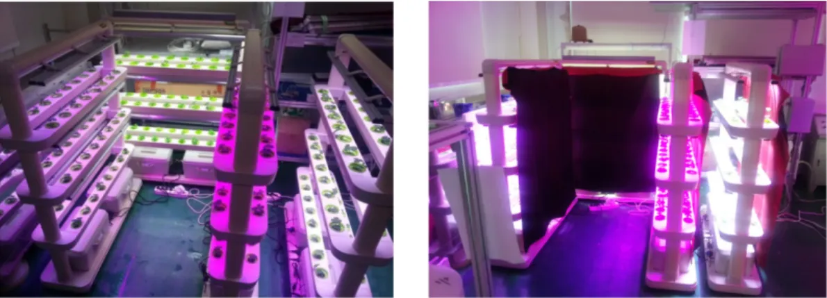 Fig. 1. Scene of experimental systems with different artificial light sources.