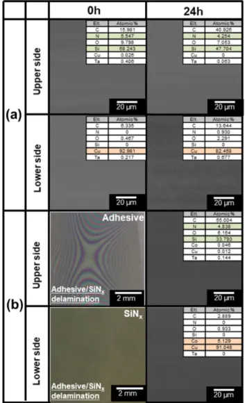 Fig. 1. Schematics of SiN x /Co/Cu thin film multilayer sandwiched structure between Si wafers for DCB adhesion test.