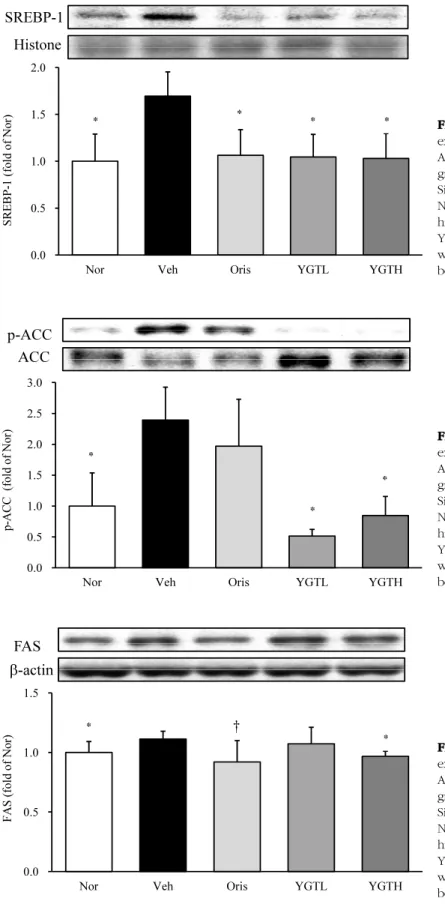 Fig.  16.  The  effects  of  YGT  on  the  p-ACC  protein  expression  in  high  fat  diet  fed  mice.