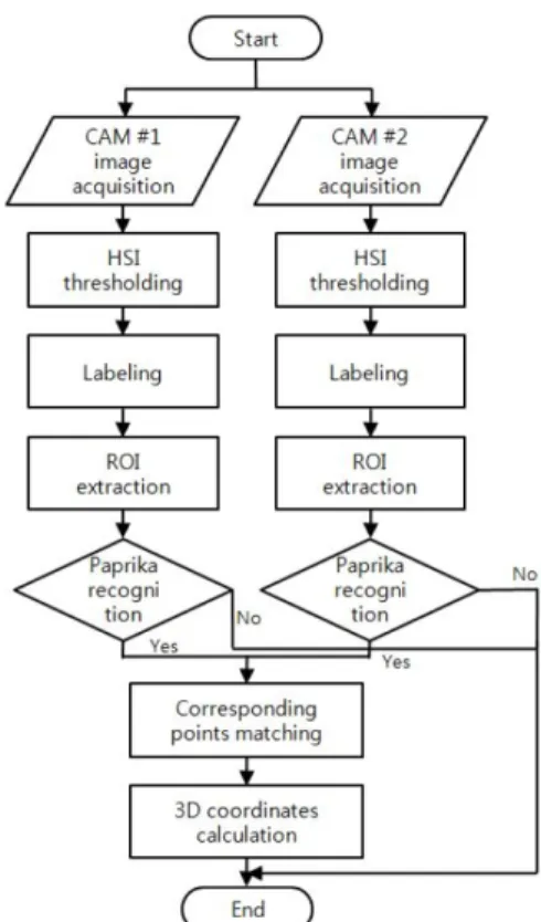 Fig. 2. Image processing flow chart