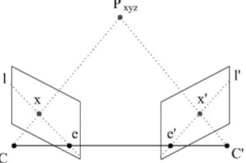 Fig. 5. Intensity image of paprika.