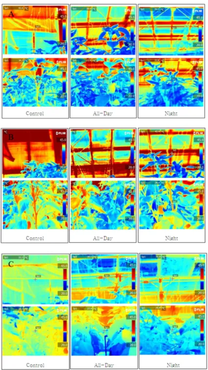 Fig. 6. The air temperature in a greenhouse as affected by the cooling timing of root zone