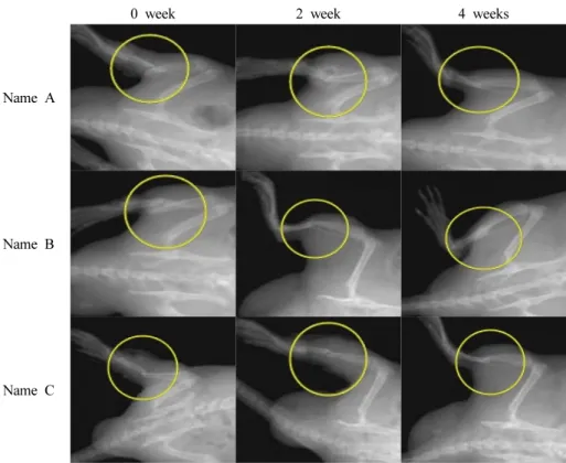 Fig.  2.  Image  of  bone  regeneration  using  X-ray  in  control  group.  The  portable  X-ray  system  was  used  to  take  a  tibia  X-ray  after  anesthesia  of  rat
