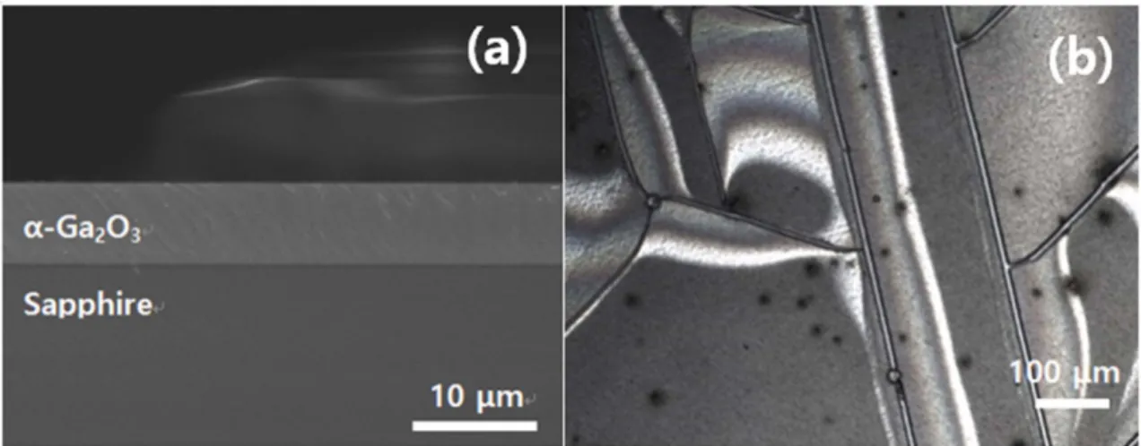 Fig. 4 shows the transmittance T of the thin film using a UV-vis spectrometer. Perfect absorption occurred in the region below 238 nm, and in the visible light region,  trans-mittance was about 90%