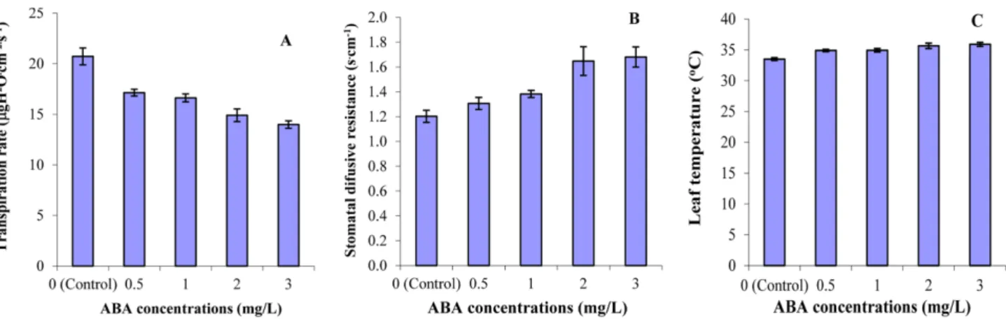 Fig. 2. Effect of ABA concentrations in nutrient solution on root morphology of tomato seedlings at 10 days after treatment