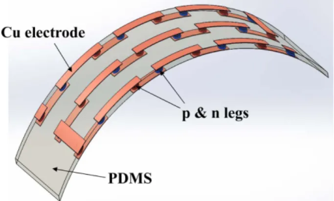 Fig. 1. Schematic illustration of a flexible thermoelectric module filled with PDMS and formed without top and bottom substrates