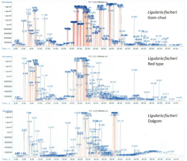 Fig. 1. GC/MSD chromatogram of gom-chwi, and type, and dalgom of Ligularia fischeri.