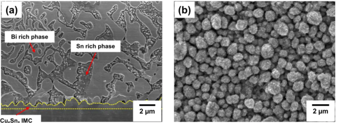 Fig. 2. SEM micrographs of Sn58%Bi solder; (a) cross sectional microstructure and (b) top view IMC morphology of Sn58%Bi composite solder joint.