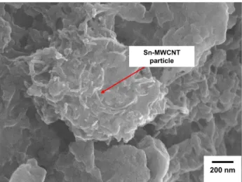 Fig. 8. SEM micrograph shows Sn-MWCNT particles tangled at fracture surface.