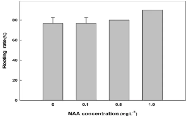 Fig. 6. Rooting rate of water cutting by NAA concentrations in Clematis ‘Pairu’.