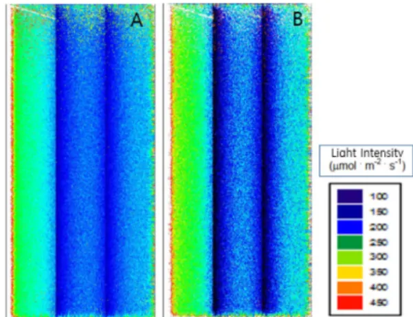 Fig. 6. Spatial light distributions in greenhouse at 17:00 at reclaimed land and inland.