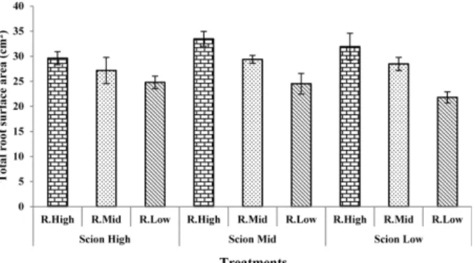 Fig. 1. Effect of water content in the substrate during pre- and post-grafting period on total root surface area of tomato  seed-lings